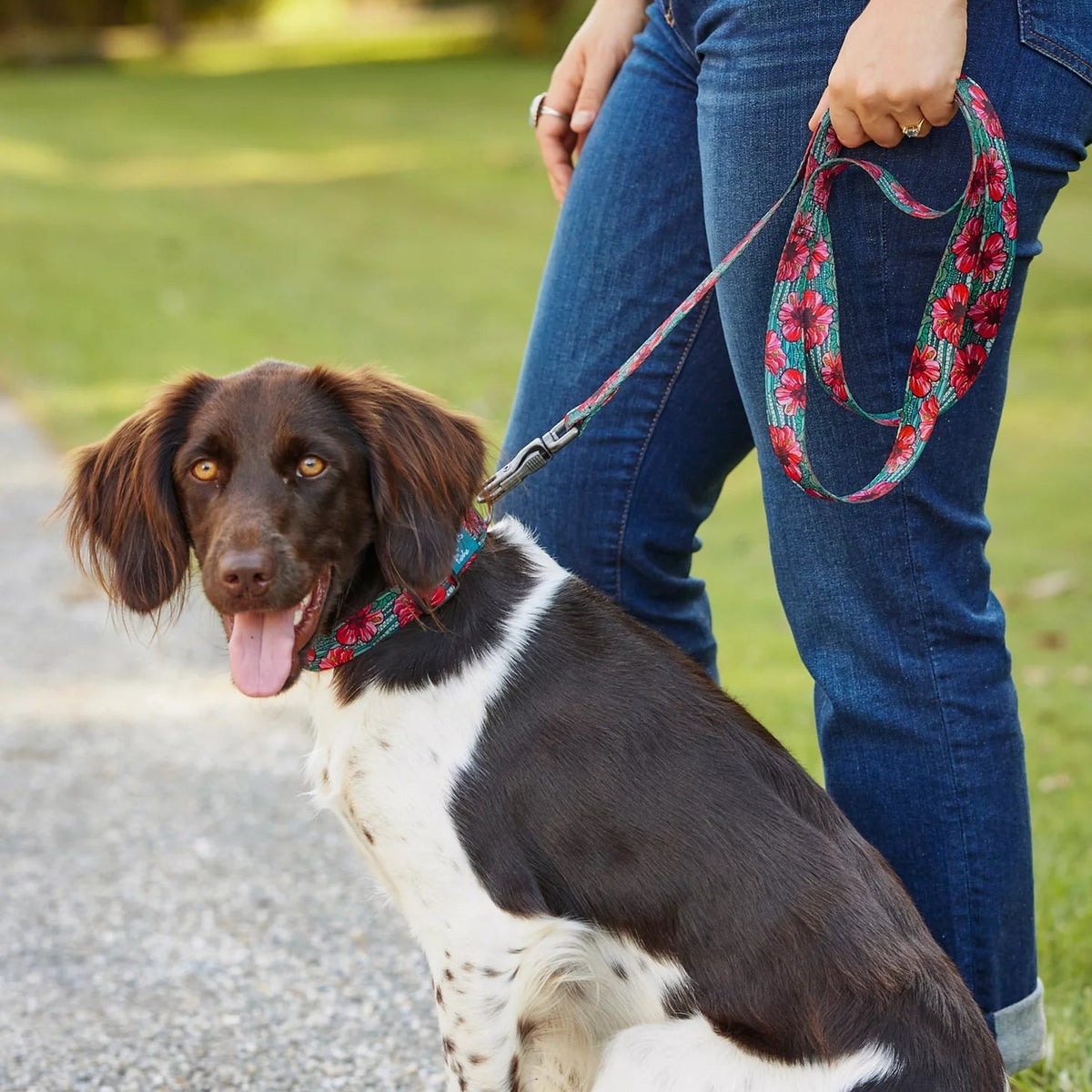 Orvis Great Deal - Orvis x Fishe® Wear Collar