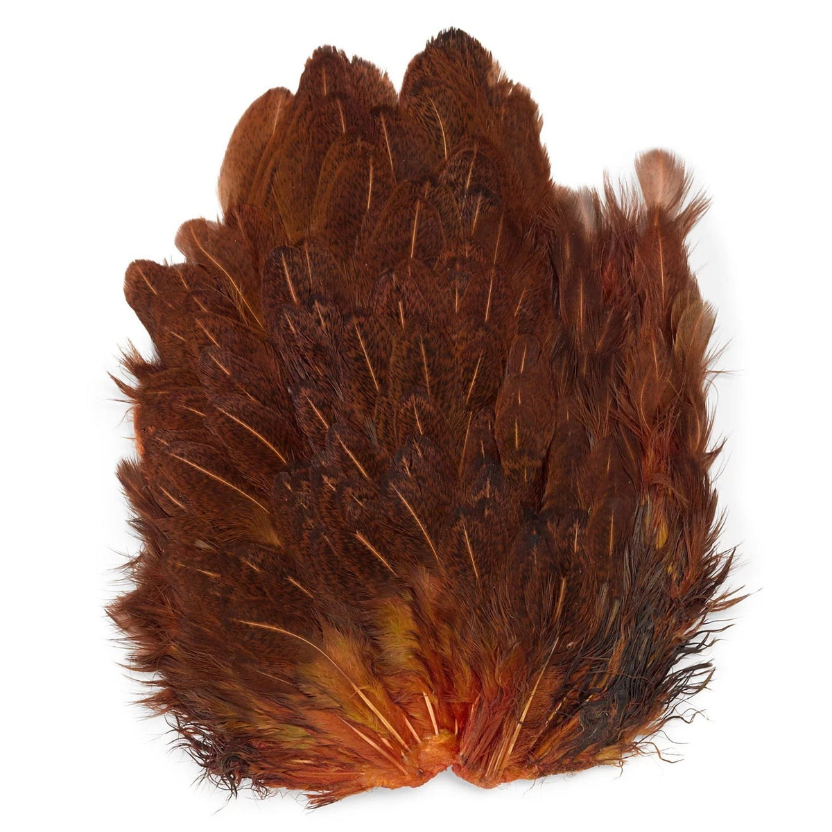 Orvis Budget Friendly - India Hen Backs