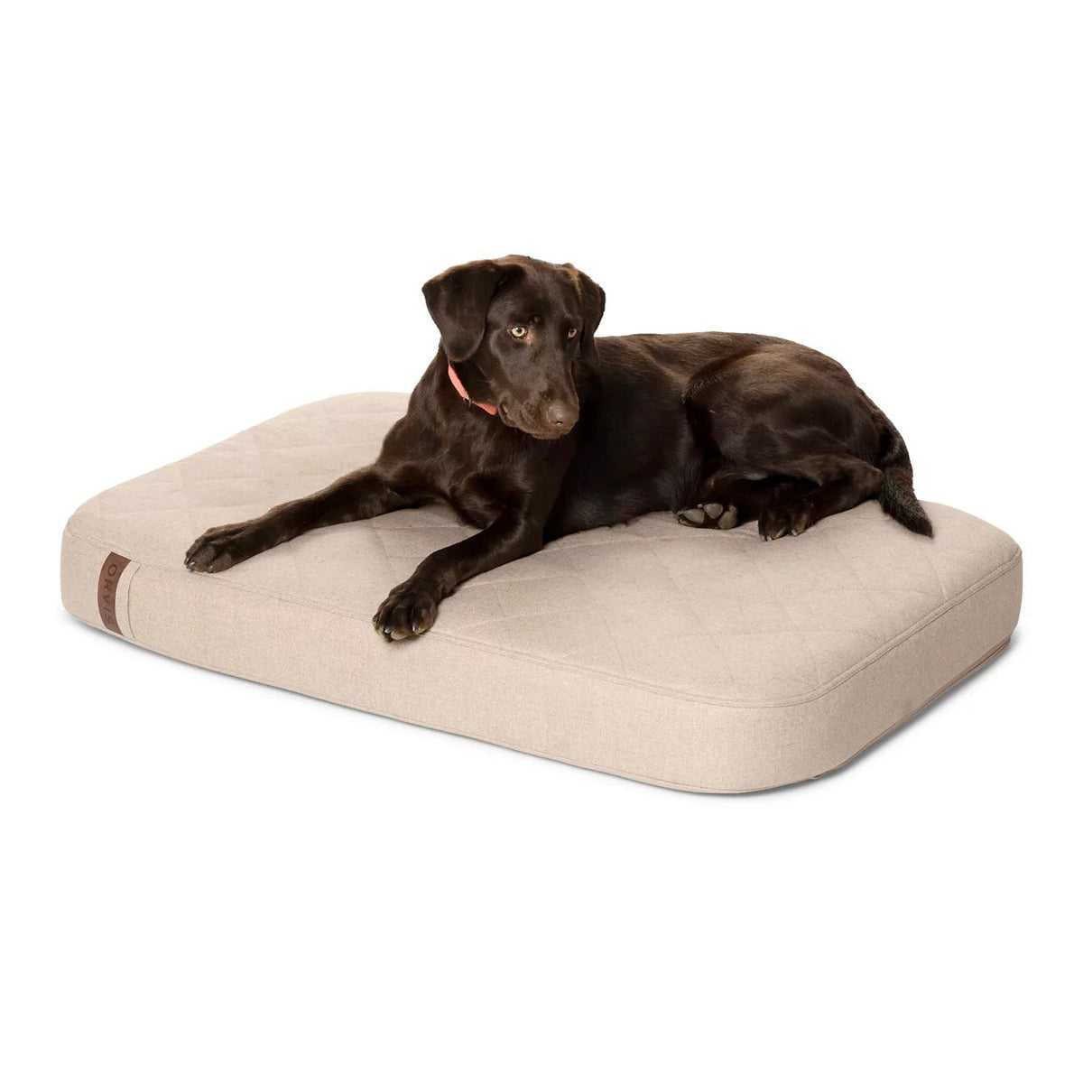 Orvis Budget Friendly - Orvis RecoveryZone® Lounger Dog Bed