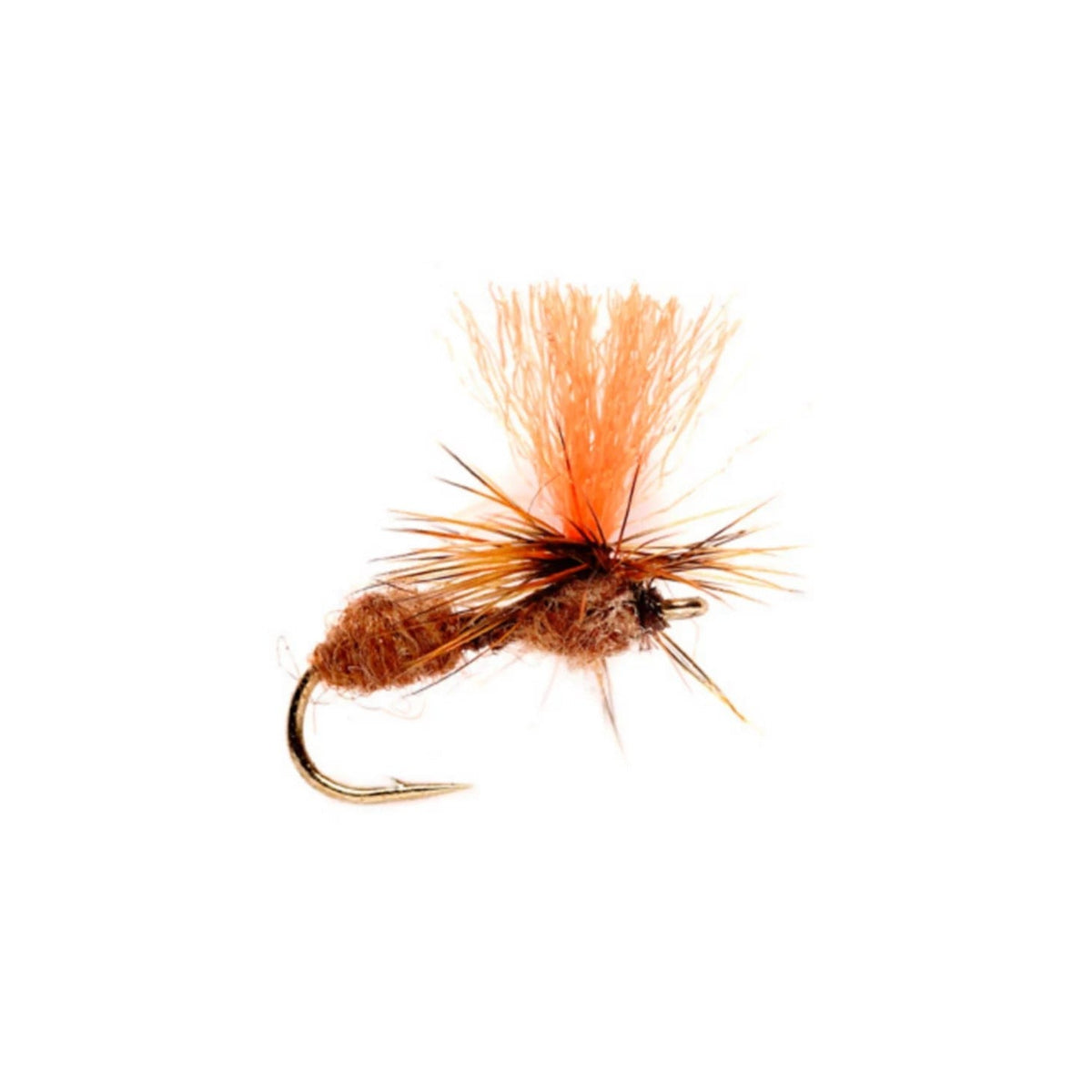 Orvis Featured - Travis Para Ant