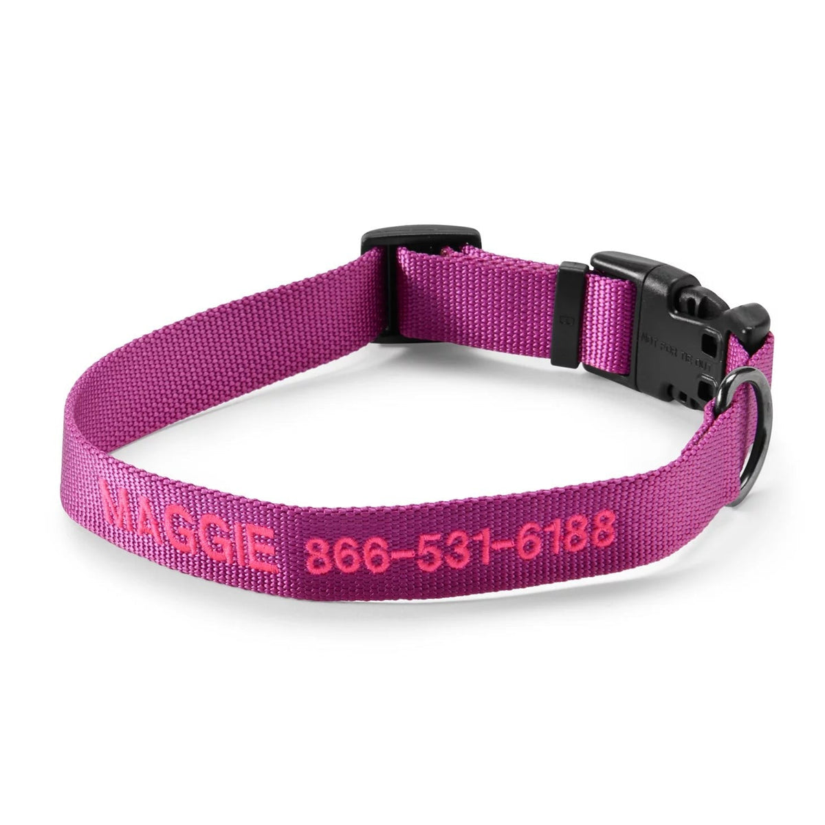 Orvis Customer Favorite -Personalized Side-Release Buckle Collar and Leash
