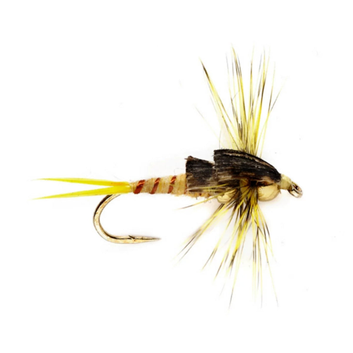 Orvis Popular Choice - Tunghead Stonefly