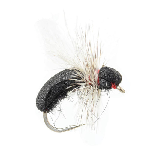 Orvis Affordable - Black Toast Ant