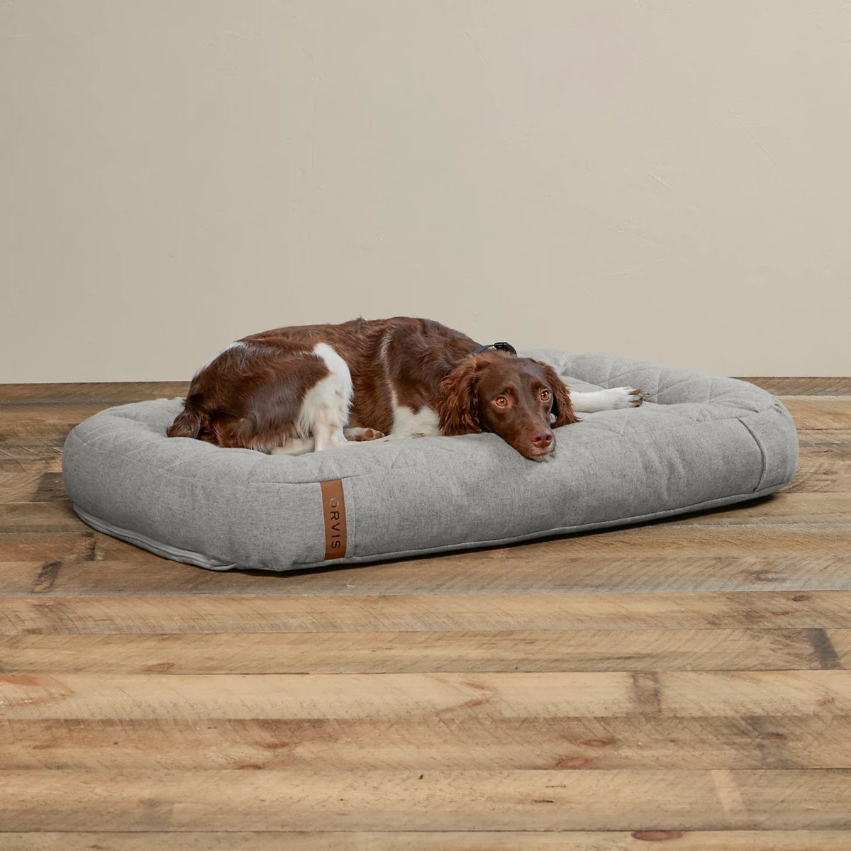 Orvis Featured - Memory Foam Lounger Dog Bed