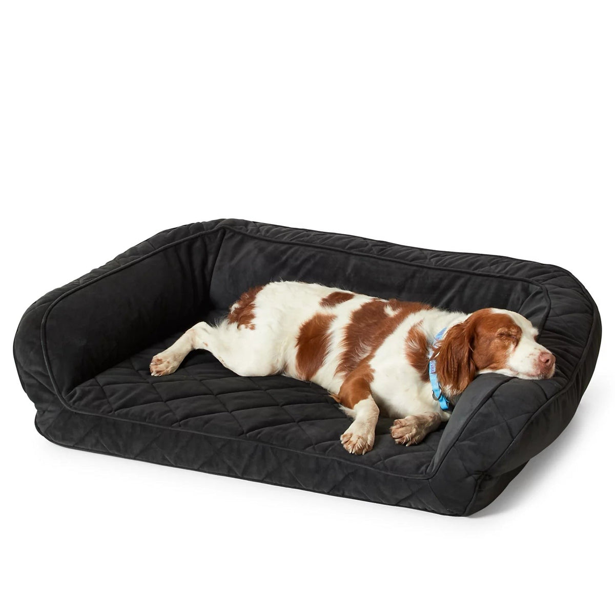 Orvis Affordable - Orvis ComfortFill-EcoTM Couch Dog Bed