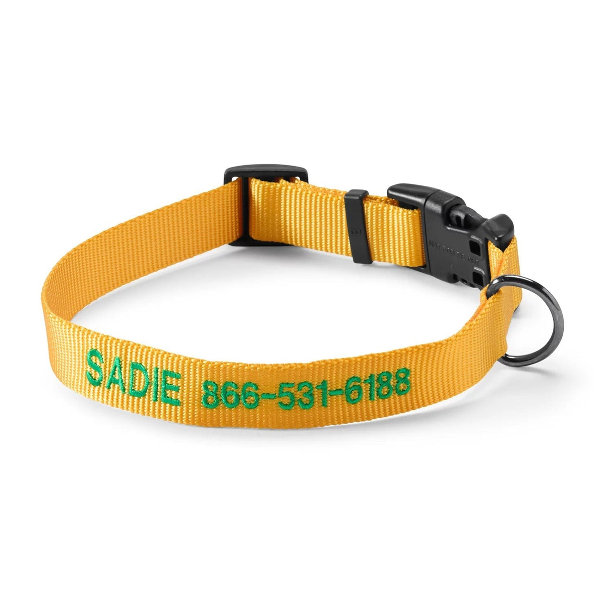 Orvis Customer Favorite -Personalized Side-Release Buckle Collar and Leash
