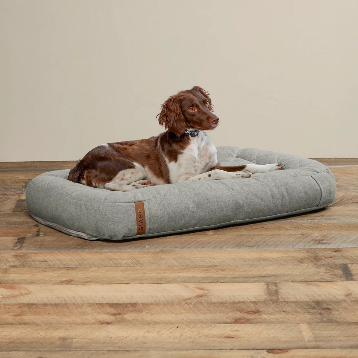 Orvis Popular Choice - ToughChew® Memory Foam Lounger Dog Bed