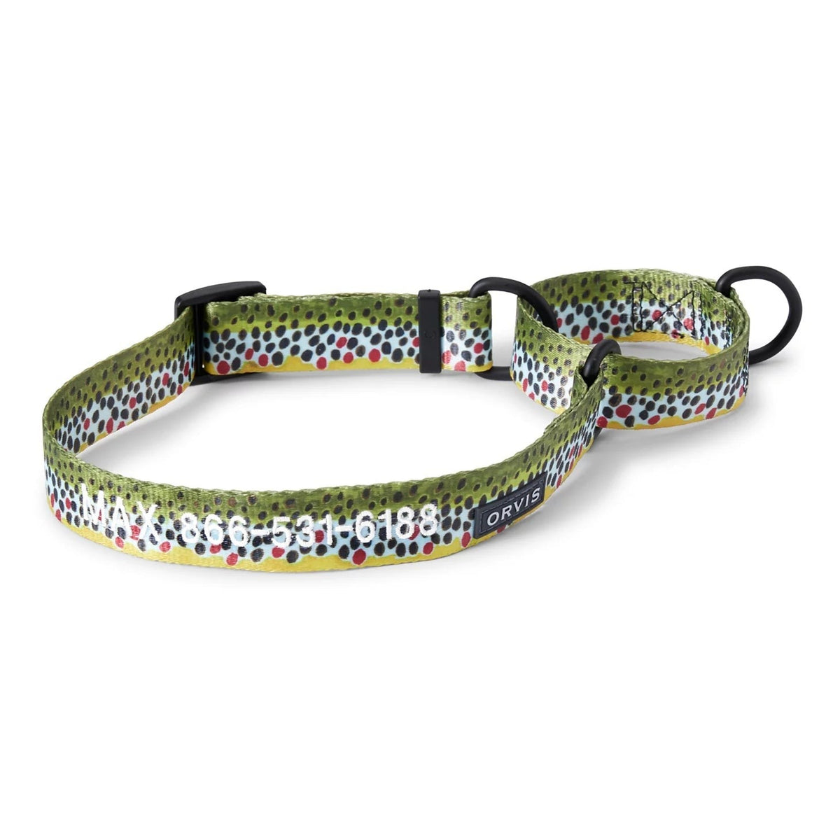 Orvis Special Offer - Orvis Martingale Collar & Leash Bundle