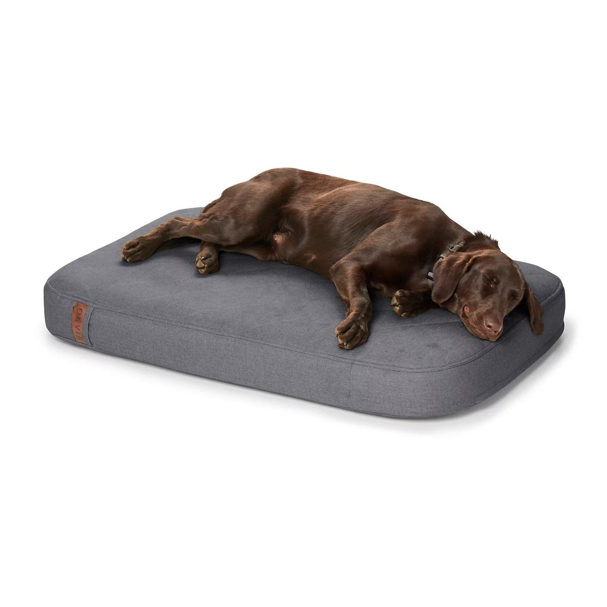 Orvis Great Deal - Orvis RecoveryZone® ToughChew® Lounger Dog Bed
