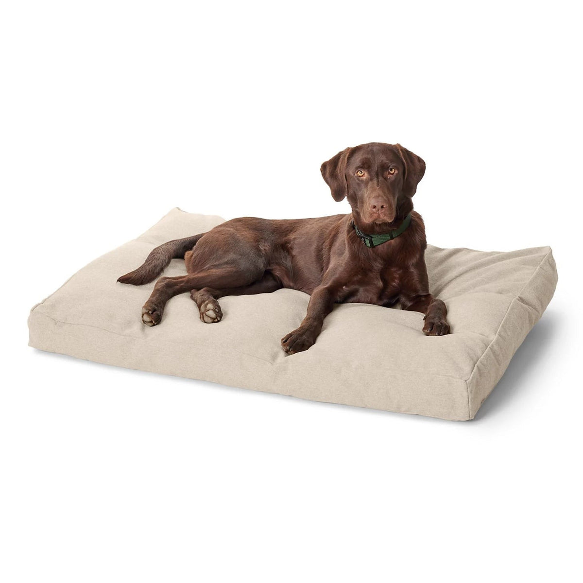 Orvis Great Deal - Orvis ComfortFill-Eco® Lounger Dog Bed