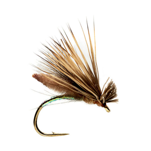 Orvis Special Offer - Palomino Caddis