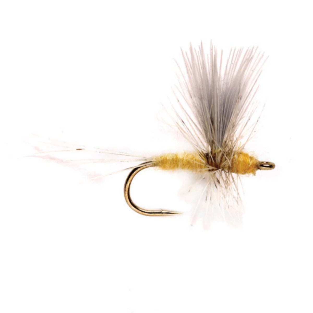 Orvis Featured - Pale Morning Dun Thorax