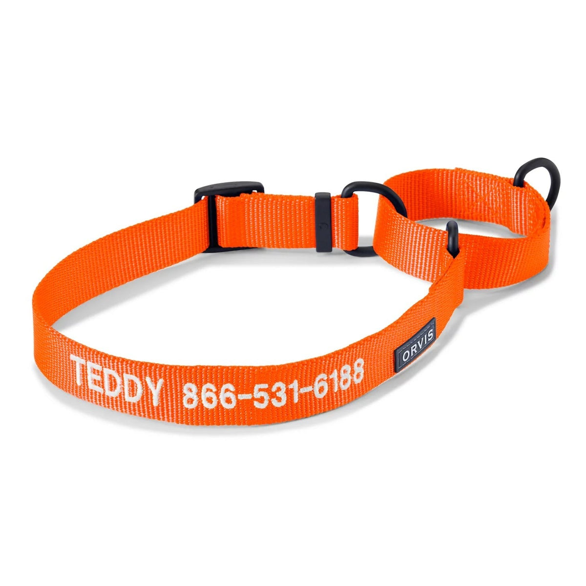 Orvis Special Offer - Orvis Martingale Collar & Leash Bundle