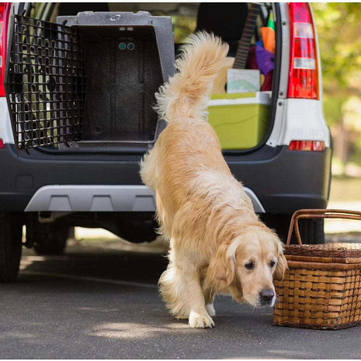 Orvis Customer Favorite -Ruff LandTM Performance Dog Kennel